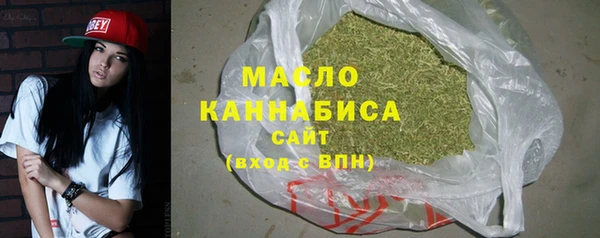 МДПВ Бородино