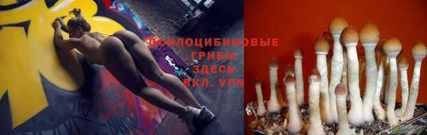 первитин Бугульма