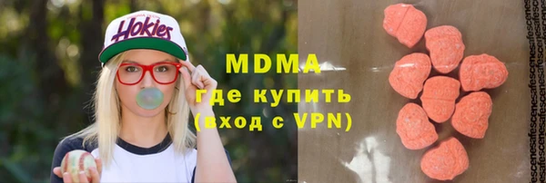 МДПВ Бородино