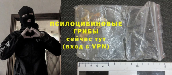 МДПВ Бородино