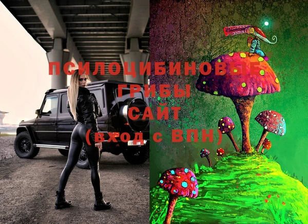соль курить ск Белокуриха