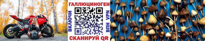 Псилоцибиновые грибы GOLDEN TEACHER  МЕГА вход  Верхняя Тура 